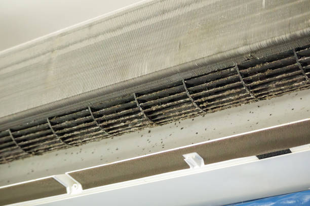 Best HVAC System Cleaning  in Athens, TN